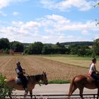 Ballade dans la campagne !