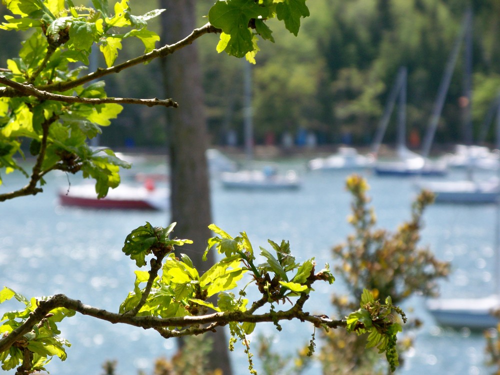 ballade dans le finistere