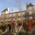 ballade dans le marais