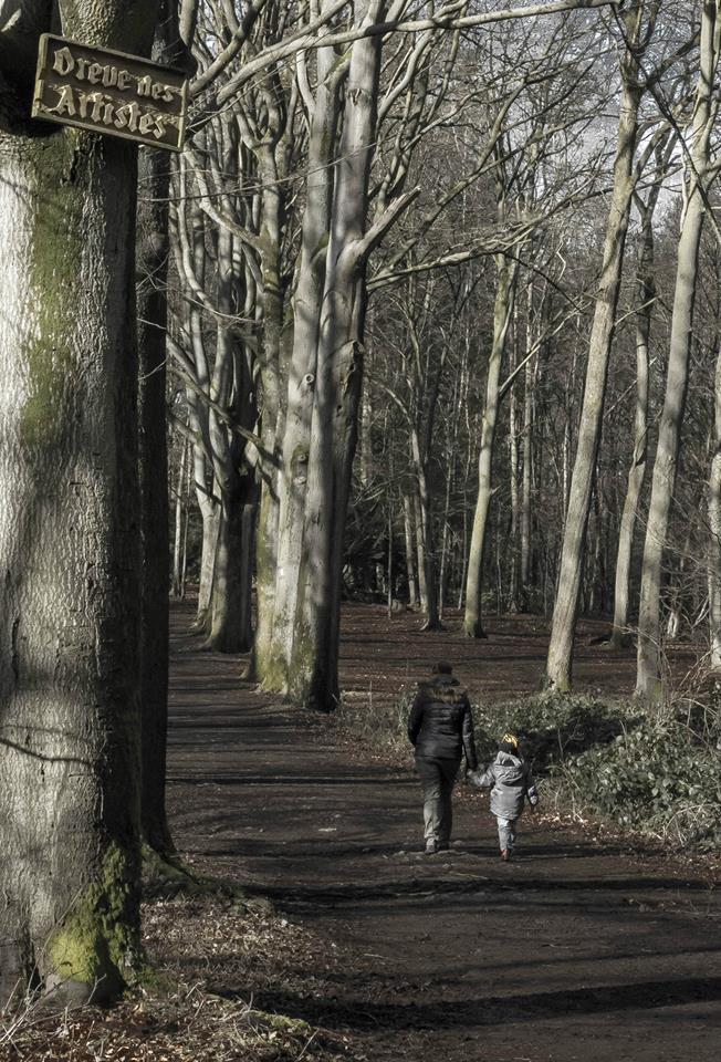 ballade dans les bois thuin