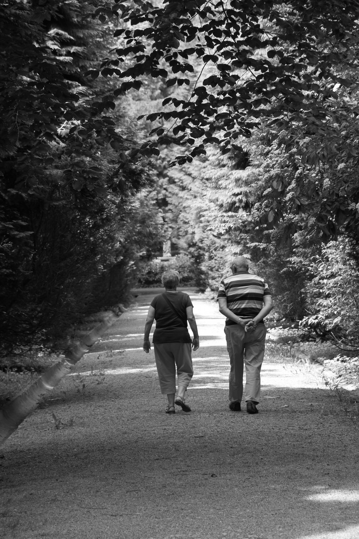 Ballade dominicale à l'ombre.