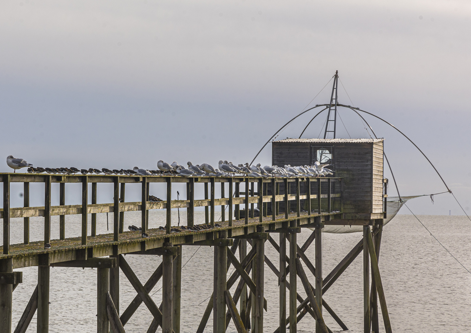 Ballade en bord de mer #2