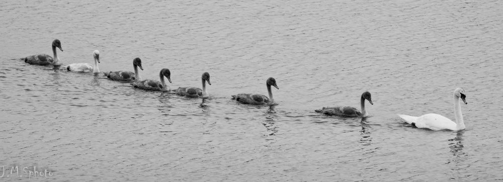 Ballade en famille