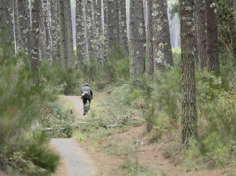 ballade en forêt !!!