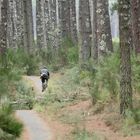 ballade en forêt !!!