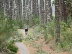 ballade en forêt !!!