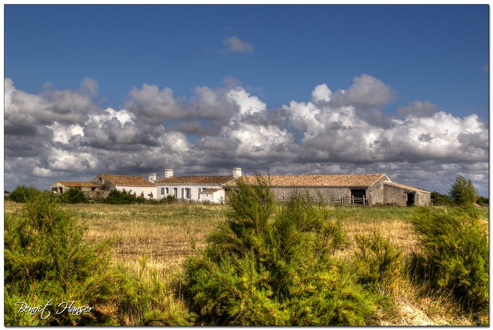 Ballade en Vendée