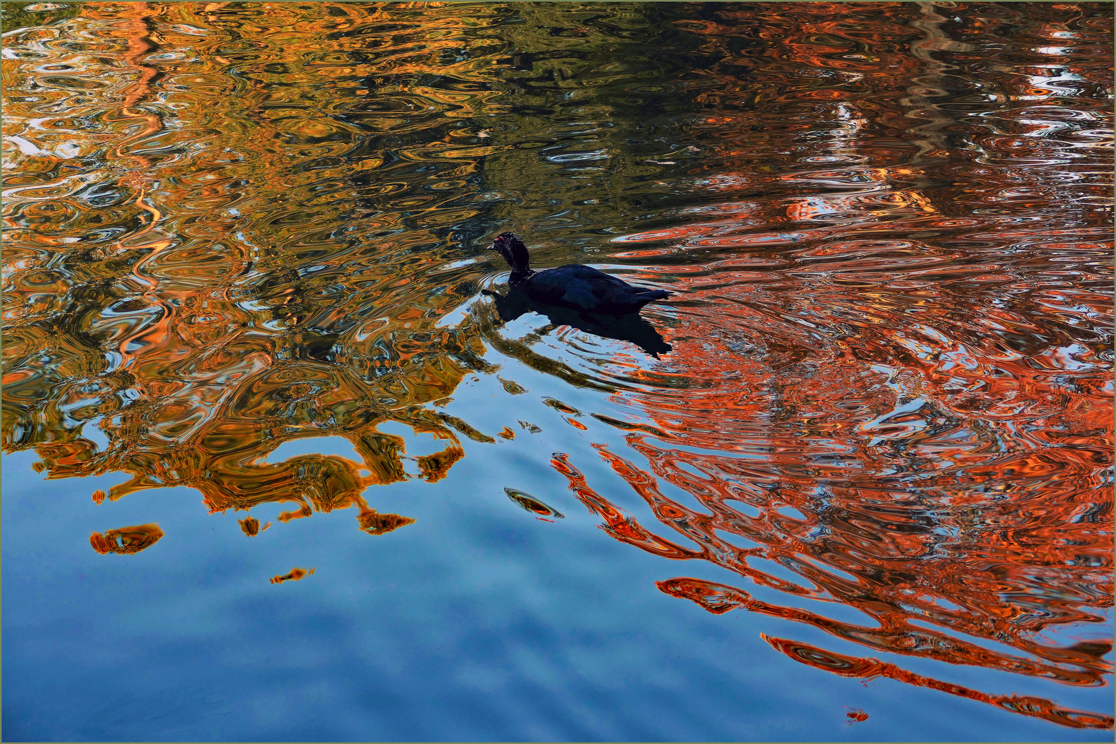 Ballade et balade d automne ...