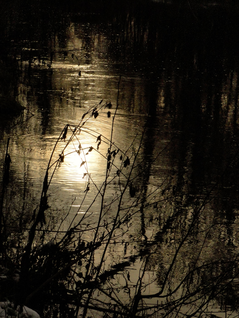 Ballade hivernale au bord de l'Essonnes