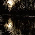 Ballade hivernale au bord de l'Essonnes