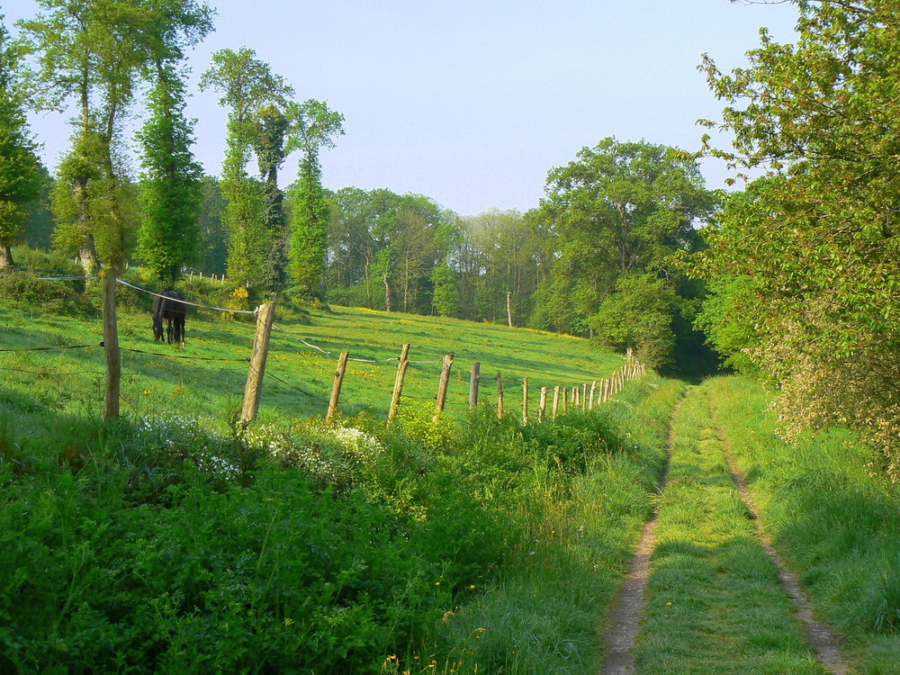 Ballade verte près de la maison