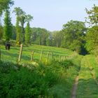 Ballade verte près de la maison