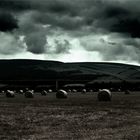 Ballaugh Curraghs Skyline