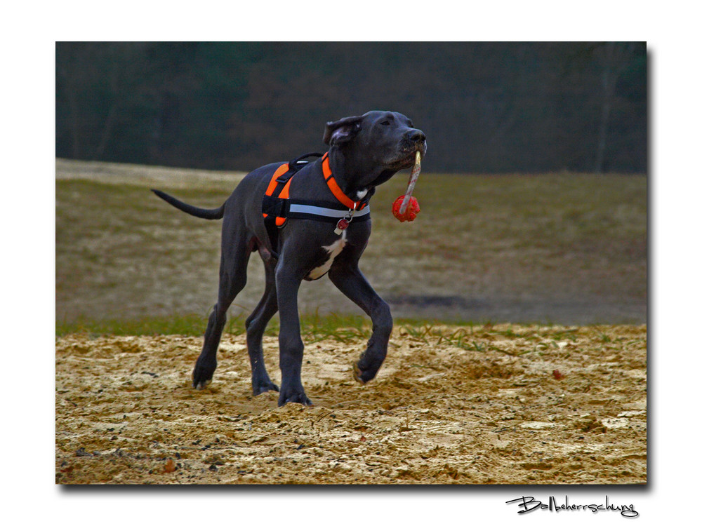 Ballbeherrschung