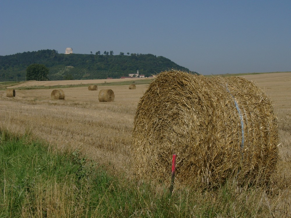 Ballen in der Landschaft