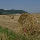 Ballen in der Landschaft