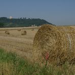 Ballen in der Landschaft