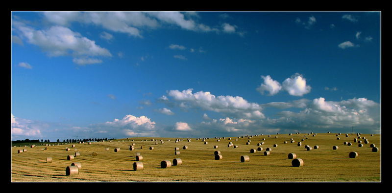 Ballen-Panorama