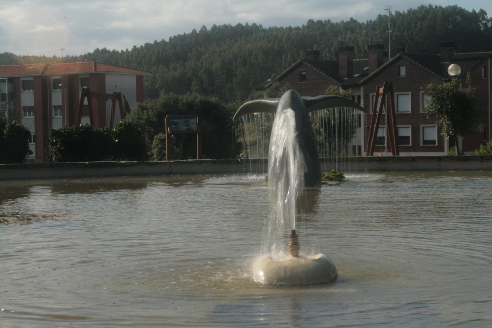 BALLENA DE SECANO