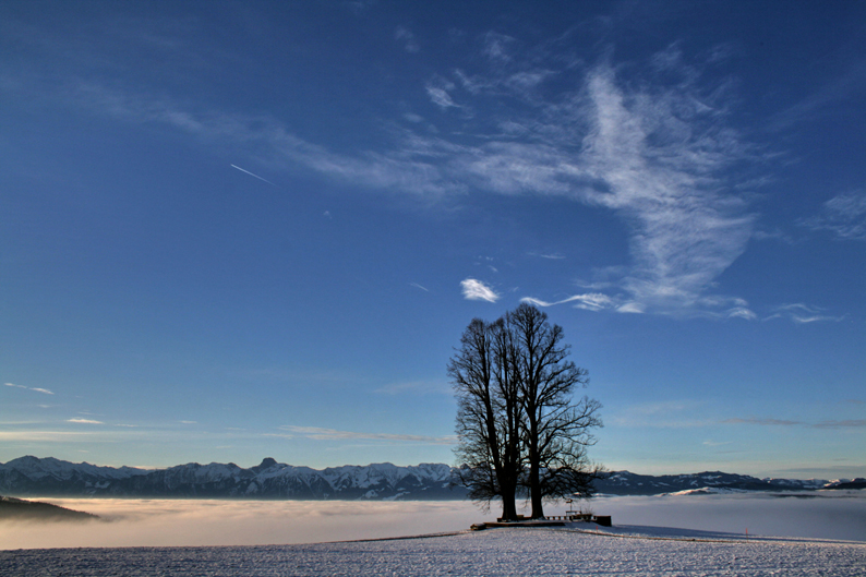 Ballenbühl