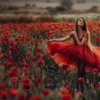 Ballerina in the poppy field