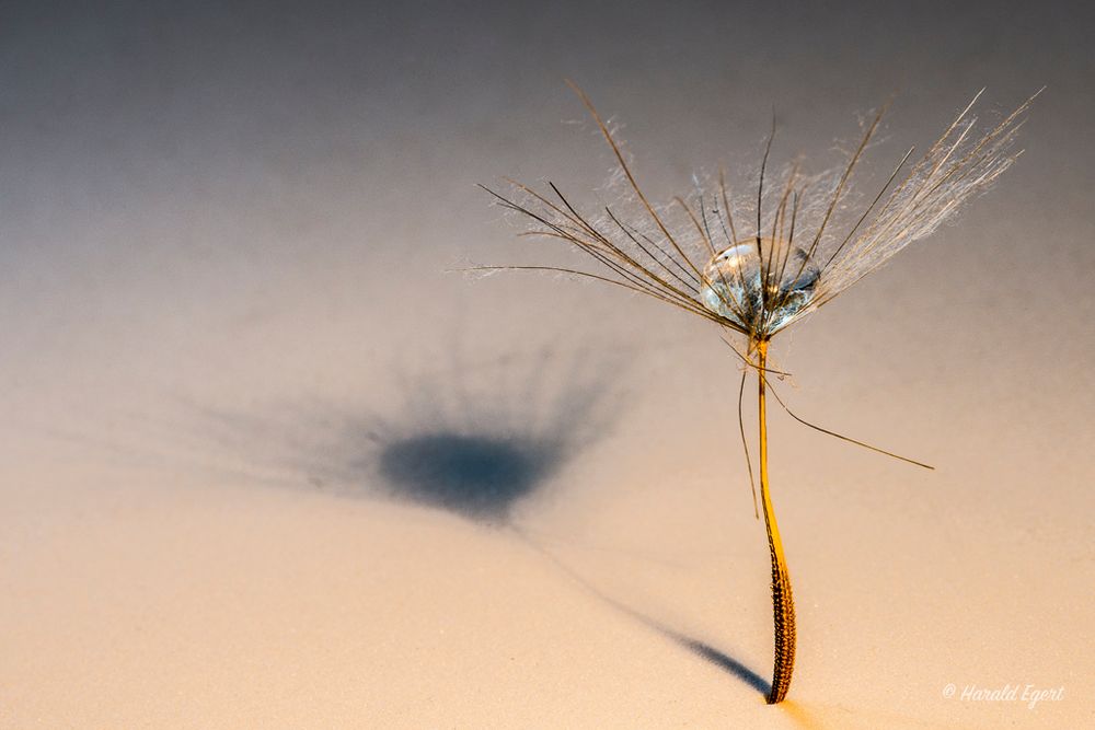 Ballerina mit Diamant im Rampenlicht