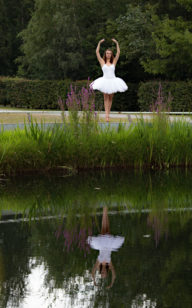 Ballerina Project Spiegelung