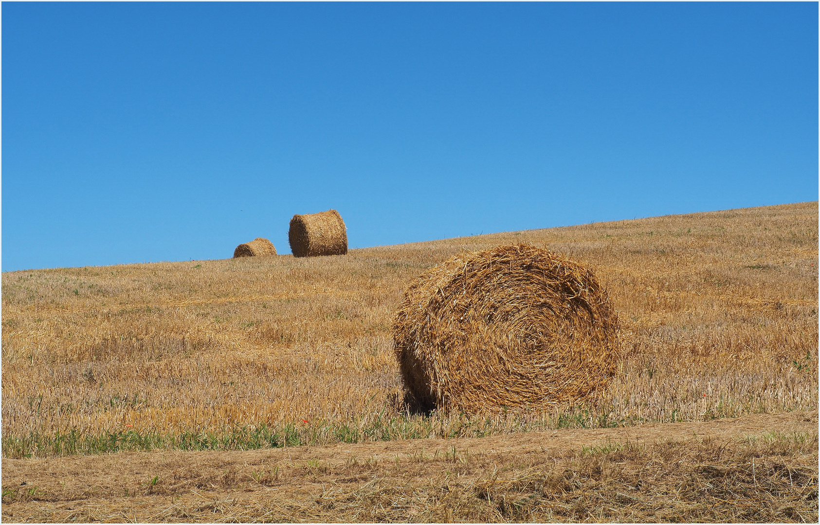 Balles de paille