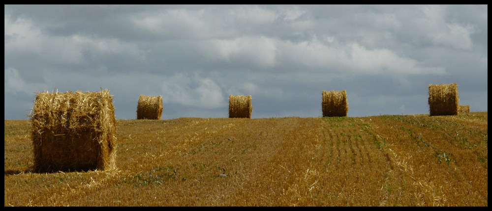 Balles de paille