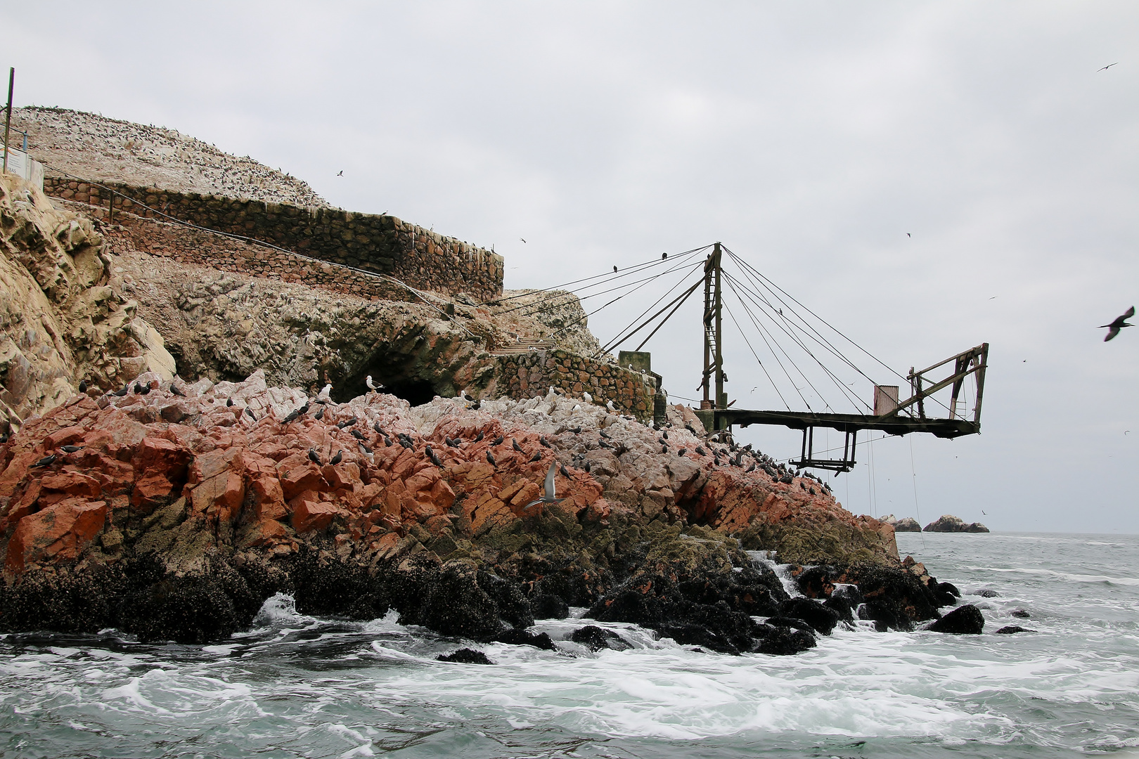 Ballestas Inseln 2