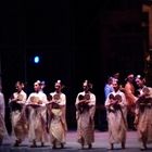 Ballet madame butterfly