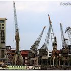 Ballet Of Cranes