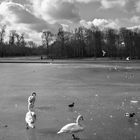 Ballet sur glace