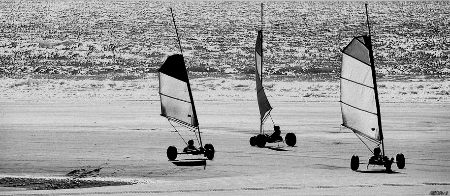 Ballet sur la plage...