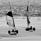 Ballet sur la plage...