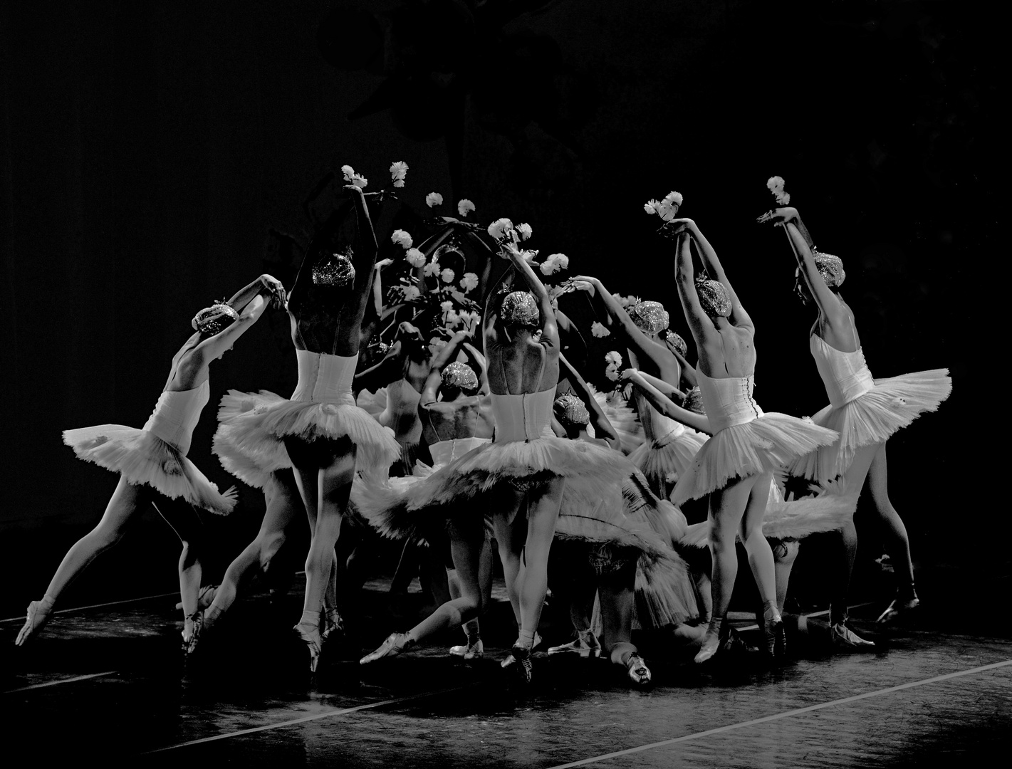 Ballett -Black and White