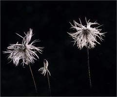 Ballett der "Bergmandl"