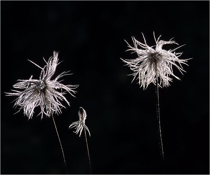 Ballett der "Bergmandl"