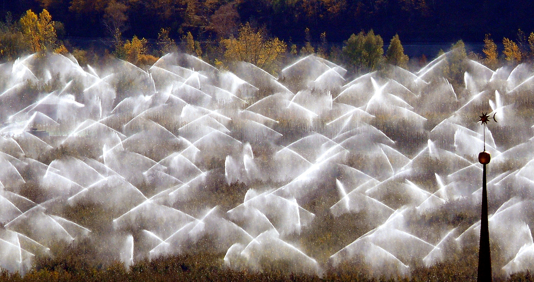 Ballett der Sprinkler