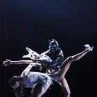 Ballett Dortmund -the last future- 3