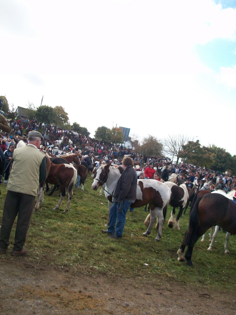 Ballinasloe Horse fair Irleand 2010