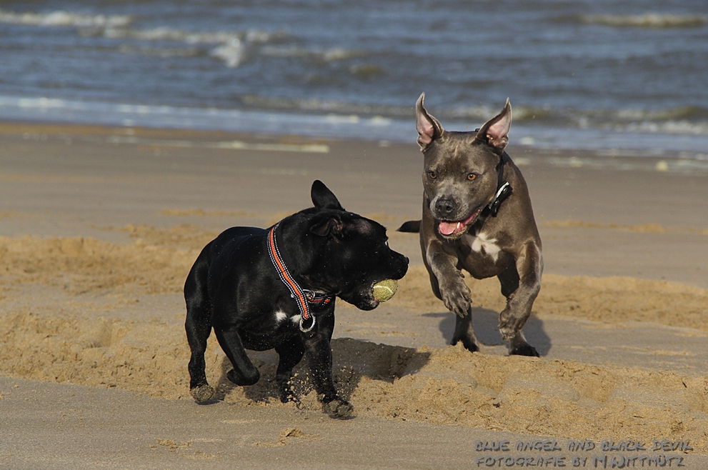 Balljagd am Strand