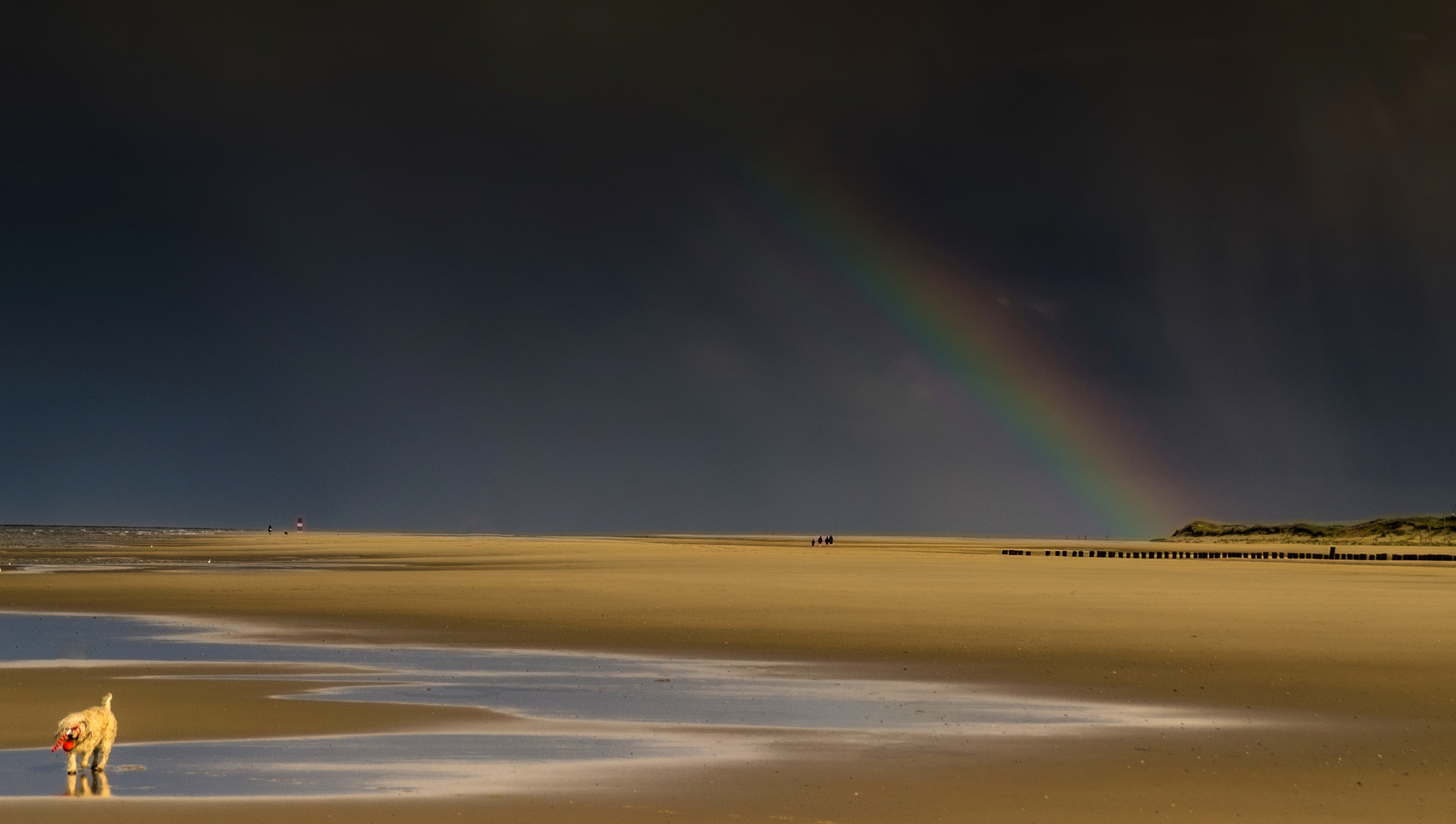 Balljunkie vor Regenbogen