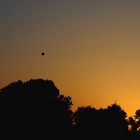 Ballon am Abendhimmel....