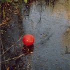 Ballon auf dem Wasser