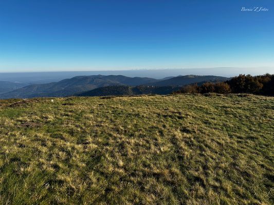 Ballon d'Alsace et Alpes Suisses au fond