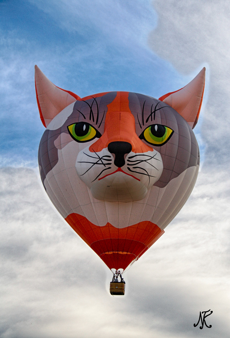 Ballon Fiesta Föhren 2013