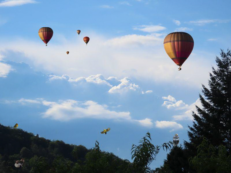 Ballon-Flugtag 