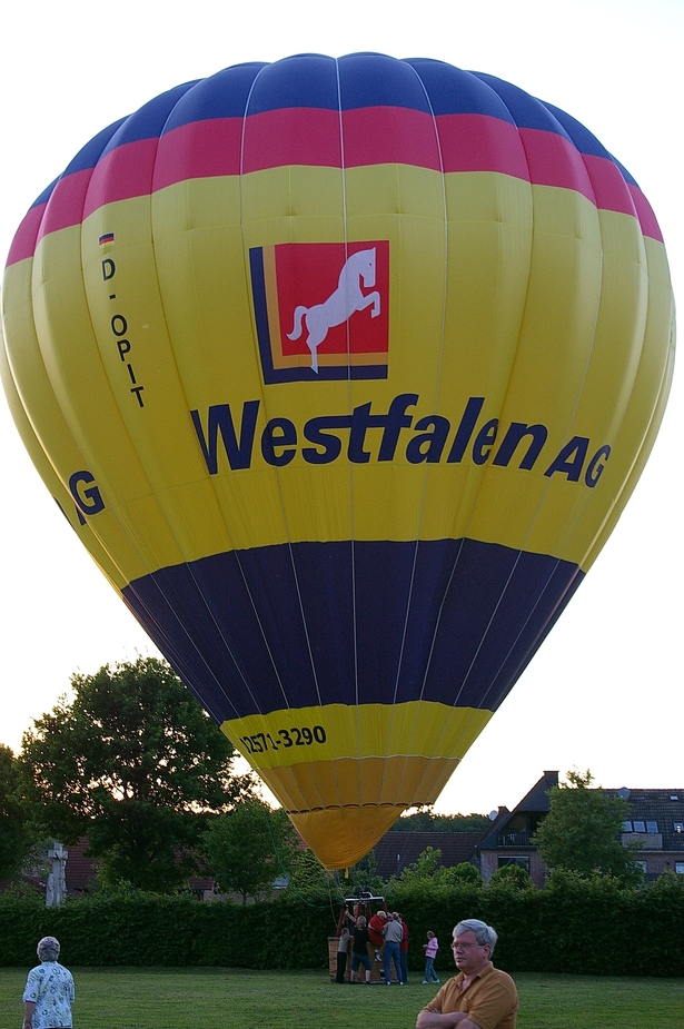 Ballon im Garten