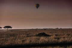 Ballon im Morgenlicht